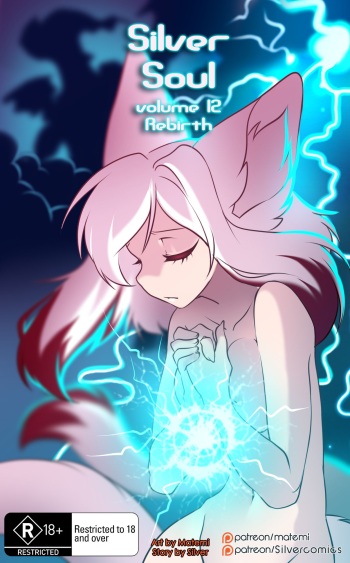 [Matemi] Silver Soul Vol. 12 cover