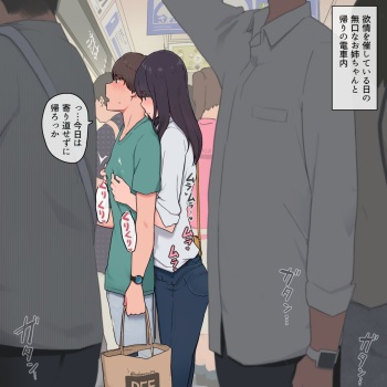 [わかまつ] 弟を異性として意識してしまう無口なお姉ちゃん cover