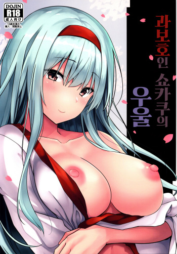 (C97) [satomachine. (Satou Samu)] Kahogo na Shoukaku no Yuuutsu | 과보호인 쇼카쿠의 우울 (Kantai Collection -KanColle-) [Korean] cover