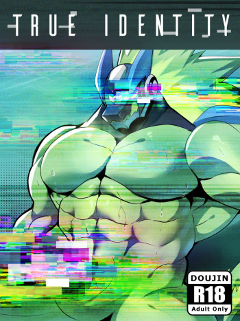 [BNA_v5] True Identity – Mega Man Star Force dj [Eng] cover