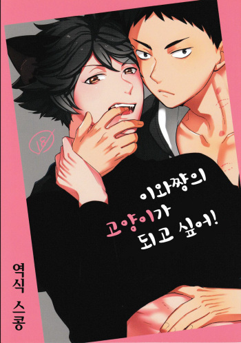 (RTS!!7) [Rototika (Kamishi Yue)] Iwa-chan no Neko ni Naritai | 이와쨩의 고양이가 되고 싶다! (Haikyuu!!) [Korean] [스콩] cover