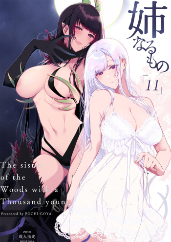 [Pochi-Goya. (Pochi.)] Ane Naru Mono 11 [Russian] [ArtTwoR] [Digital] cover
