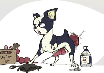 [Spiderbox] Iggy's Bizarre Toy Box cover