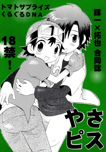 [KuruGuru DNA, Tomato Surprise (Hoshiai Hilo, Futtsu Misaki)] Yasashiku Piston (Digimon Frontier) cover