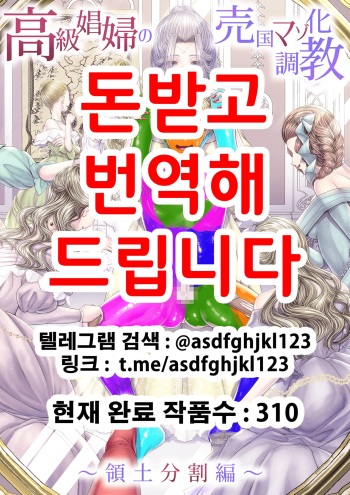 高級娼婦の売国マゾ化調教～領土分割編～[Korean] [Digital] cover