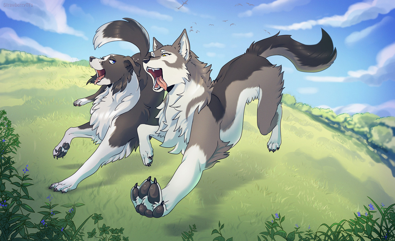 Puppy Wishes page 12 full