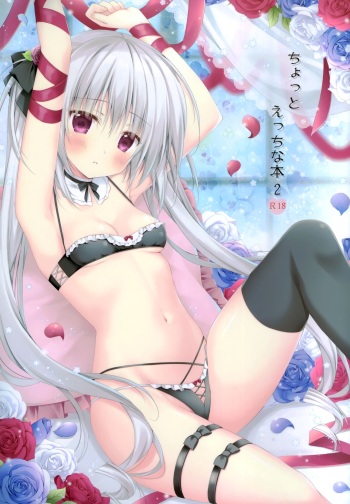 (COMIC1 BS-sai Special) [Muzin Syoujo (Korie Riko)] Chotto ecchi na hon2 cover