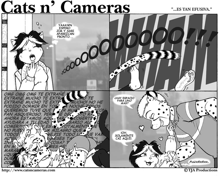 Cats & Cameras page 2 full