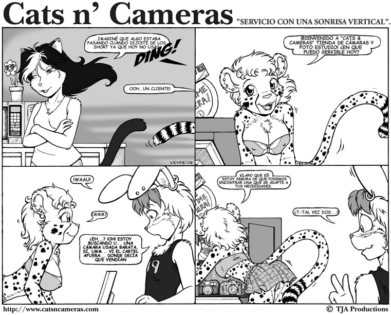 Cats & Cameras page 5 full