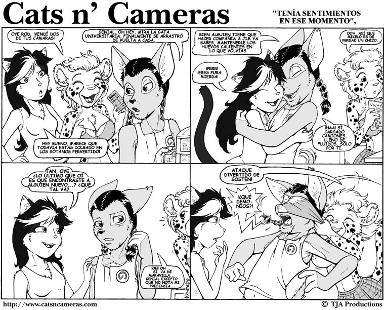 Cats & Cameras page 7 full