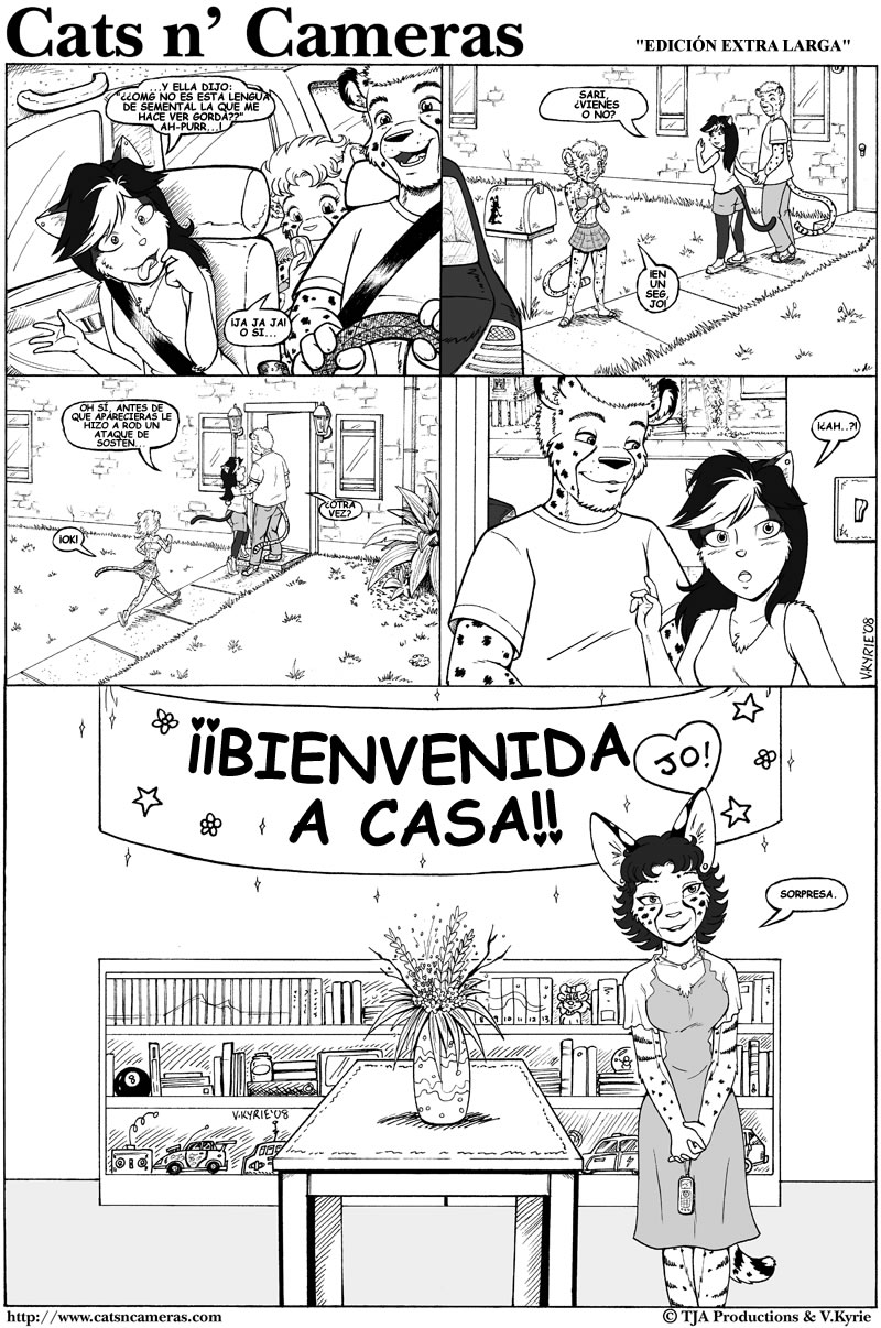 Cats & Cameras page 9 full