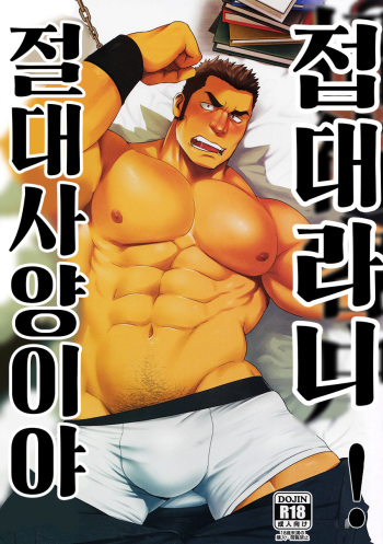 [RYCANTHROPY (Mizuki Gai)] Settai nante Zettai iya![kr] cover