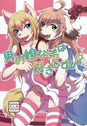 (C83) [Miburi (Miga, Izumi Yoshikazu)] Otokonoko na Otouto wa Suki desu ka? cover