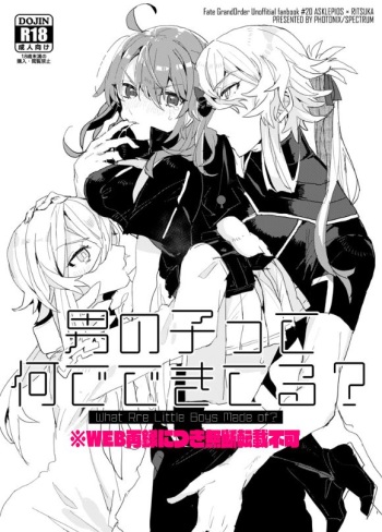 [PHOTONIX (Terashi)] Otokonoko Ttenani de Deki Teru? (Fate/Grand Order) [Digital] cover