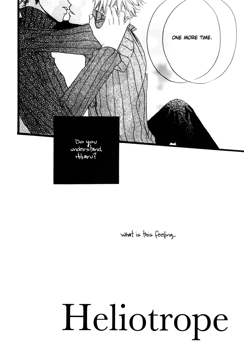 Heliotrope page 11 full