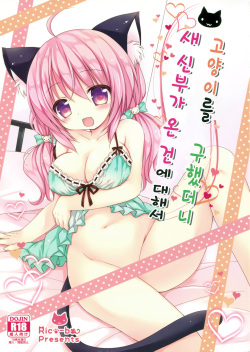 Nyanko o Tasuketara Yome ga Kita Ken ni Tsuite | 고양이를 구했더니 새 신부가 온 건에 대해서