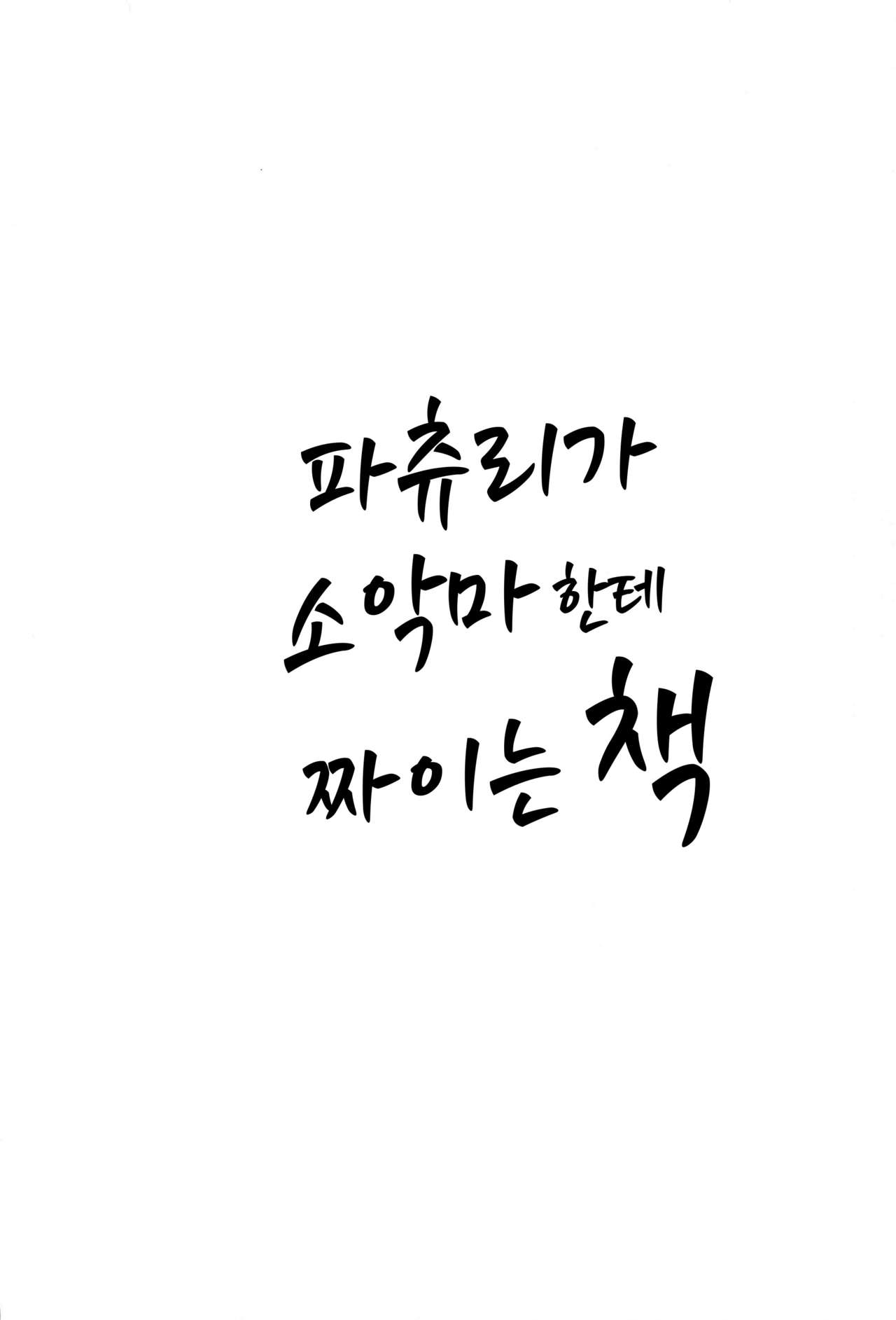 Patchouli ga Koakuma ni Shiborareru Hon | 파츄리가 소악마한테 짜이는 책 page 3 full