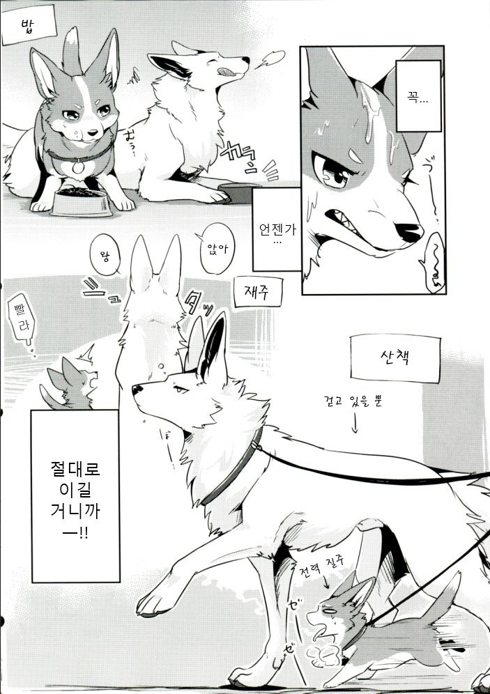 1DK, Bokura to.  | 1DK, 우리들과 page 7 full