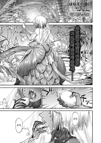 [Ameyama Denshin] Hanae no Sono (COMIC GAIRA Vol. 06) [Korean] [LWND] cover