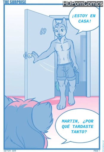 the surprise [Spanish][Español][Fc-Production] [Furry] cover