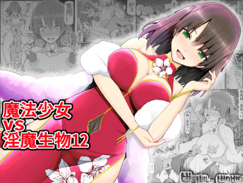 [EsuEsu] Mahou Shoujo VS Inma Seibutsu 12 cover