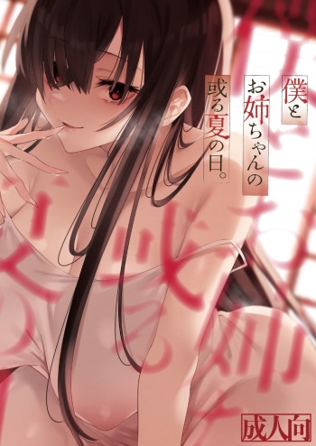 [Nazunaya Honpo (7zu7)] Boku to Onee-chan no Aru Natsu no Hi. [Digital] cover