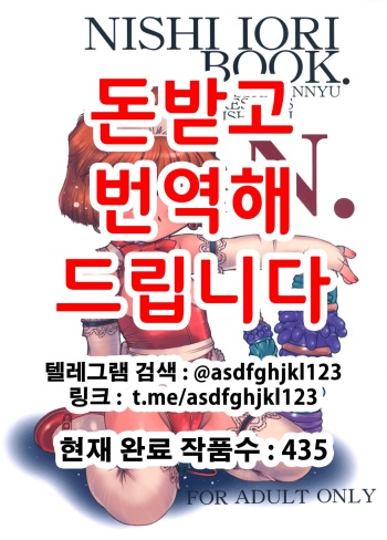 (CR29) [Dasshifunnyuu (Nishi Iori)] NISHI IORI BOOK. N. (Various) [Korean] cover
