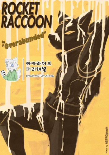 [ASTROgraph] Rocket Raccoon in Overabunded [Korean] cover