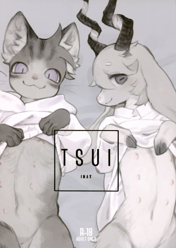 TSUI(Spanish) cover