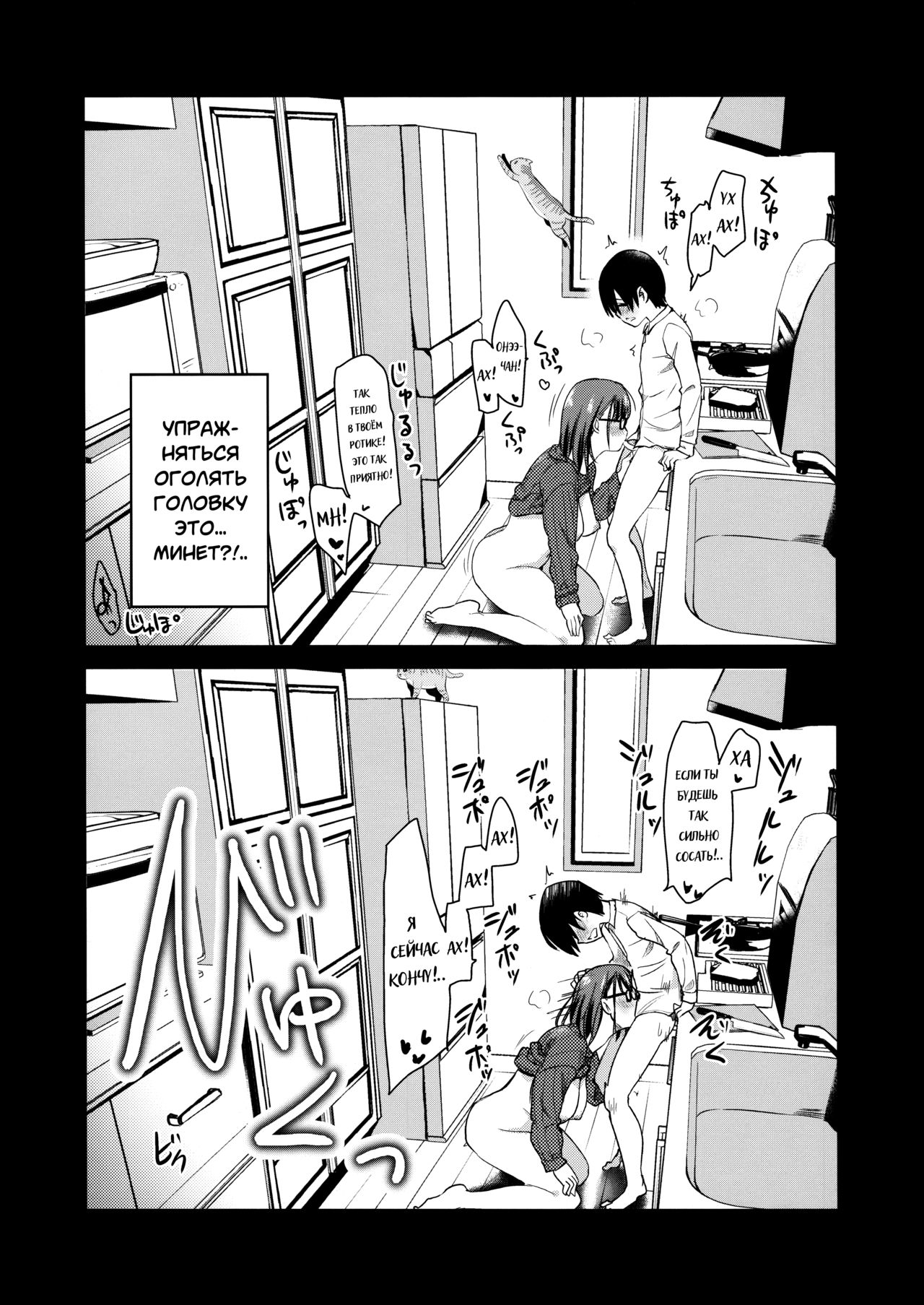 Pet Mimamori Camera ni Ane to Otouto no Sex ga Utsutteta.| Наблюдение за сексом старшей сестры и младшего братика через камеру для домашних питомцев. page 9 full