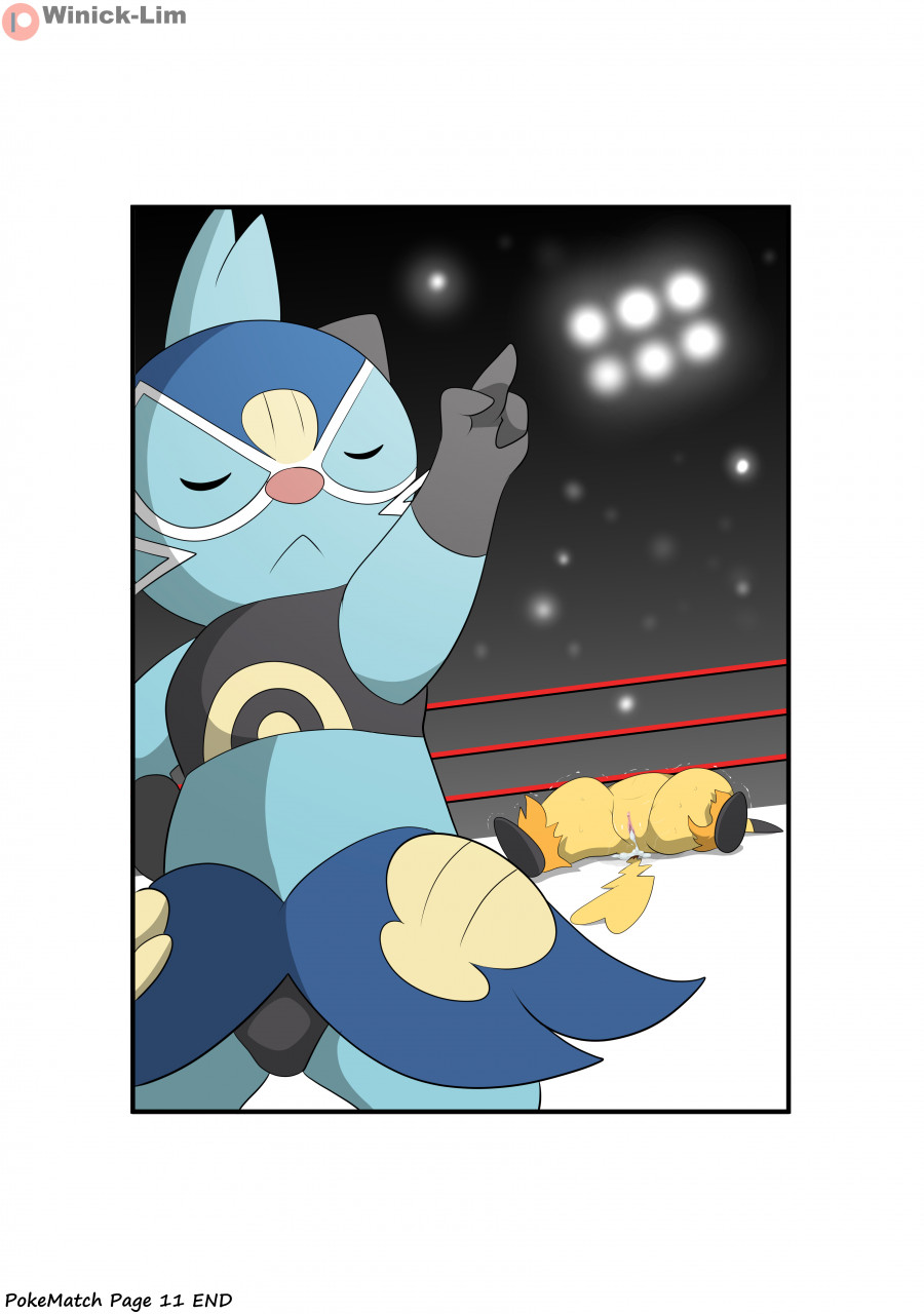 PokeMatch page 12 full