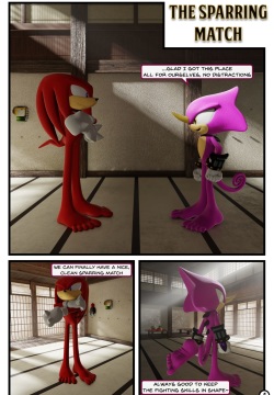 The Sparing Match