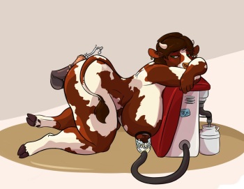 Malt And Ava the Cows cover