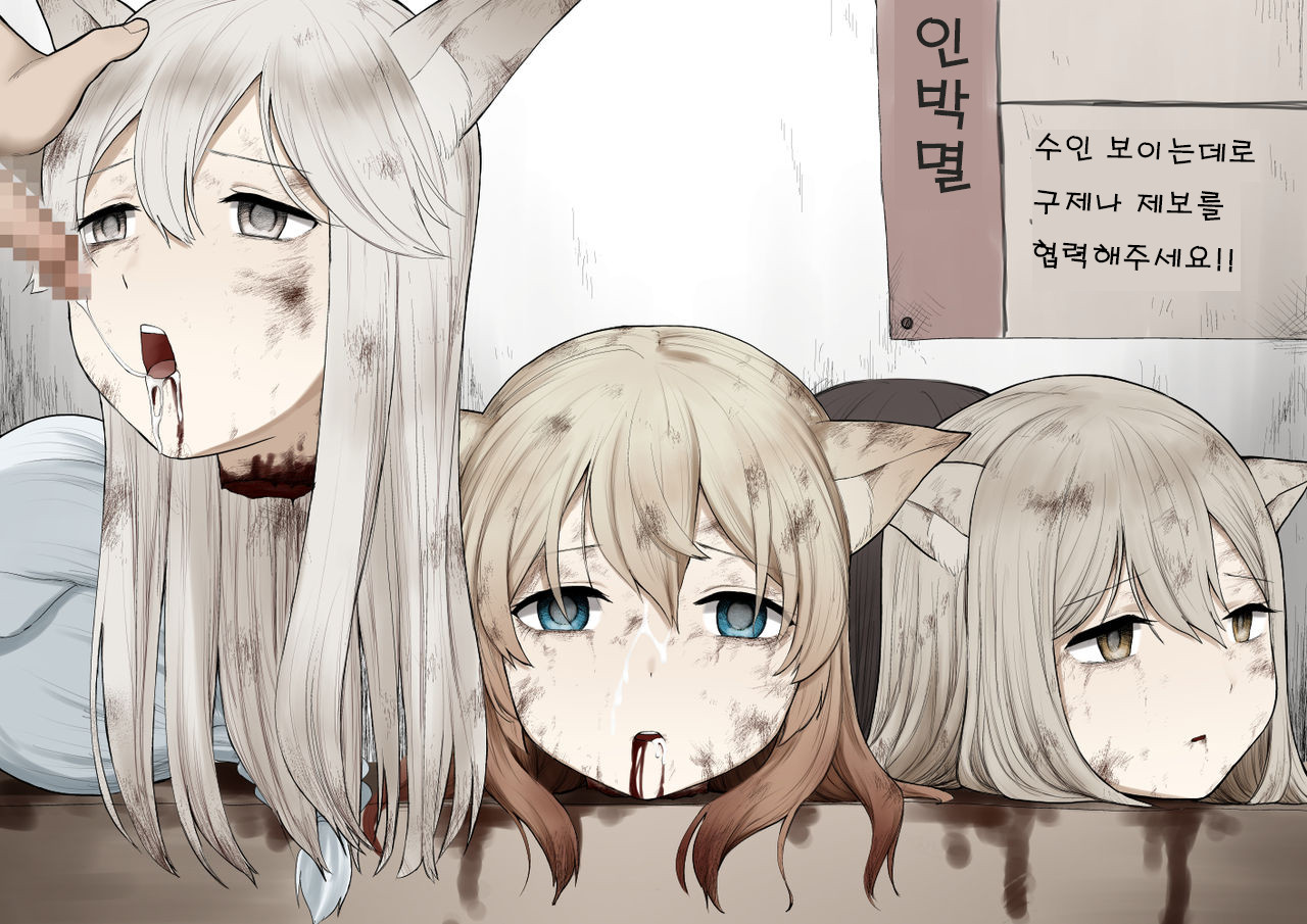 Picking cat.zip page 12 full