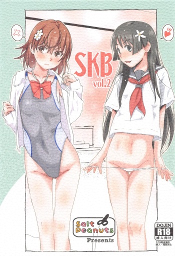 (SC2021 Summer) Salt Peanuts (Niea)] SKB vol. 2 (Toaru Kagaku no Railgun) cover