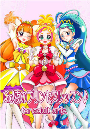 [Nanairo Senpu-ji (Hosikawa Tukimi)] Go! Yoru no Princess Lesson (Go! Princess PreCure) [Sample] cover