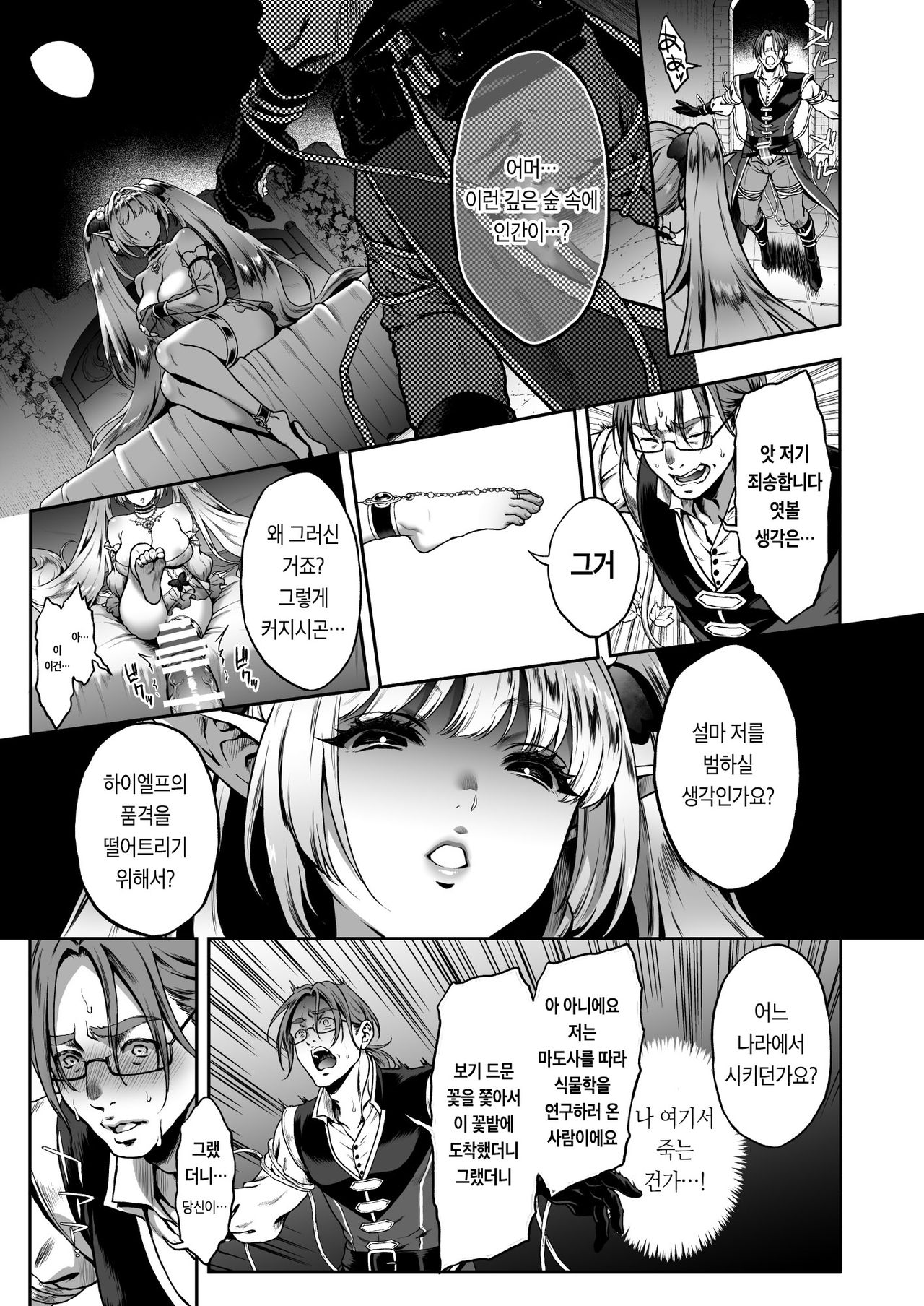 Yuukyuu no Shou Elf 3 "Mugen" Zenpen | 유구의 창엘프3 「몽환」전편 page 12 full