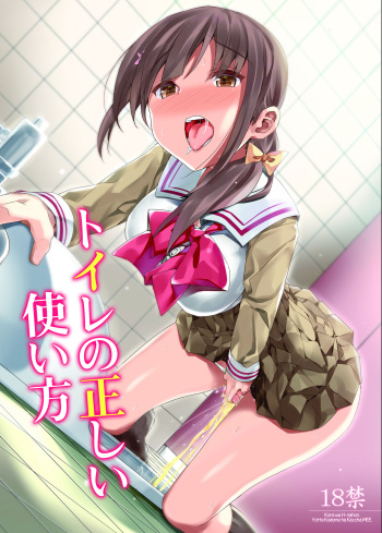 [Bunbonian (Bunbon)] Toilet no Tadashii Tsukaikata [Digital] cover
