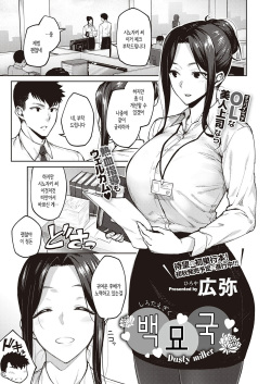 Shirotaegiku│백묘국