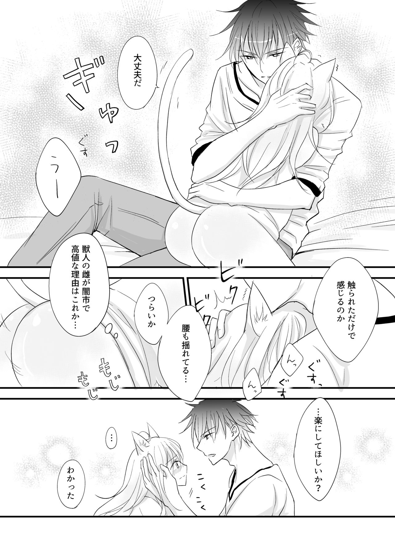 Hatsujou~Koneko wo Hirotta Kishi no Hanashi~ page 12 full