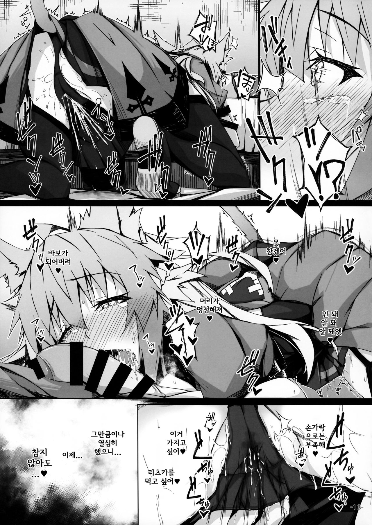 KARIUDOANE no DAKENSEIKATSU | 사냥꾼 누나의 타락견 성활 page 12 full