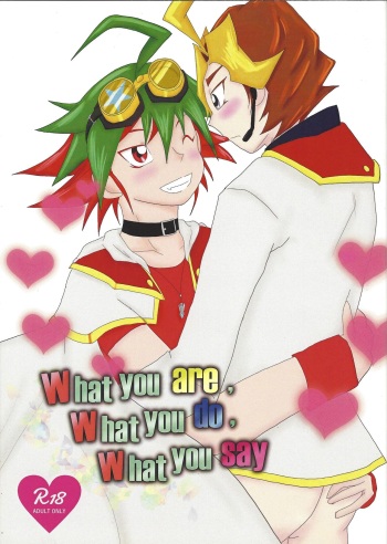 (Sennen Battle Phase 16) [Rainbow Connection (Sopra Nina)] What you are, What you do, What you say (Yu-Gi-Oh! ARC-V) cover
