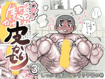 [Hastured Cake] Bouzu hae Kake Kawa Kamuri 3 cover