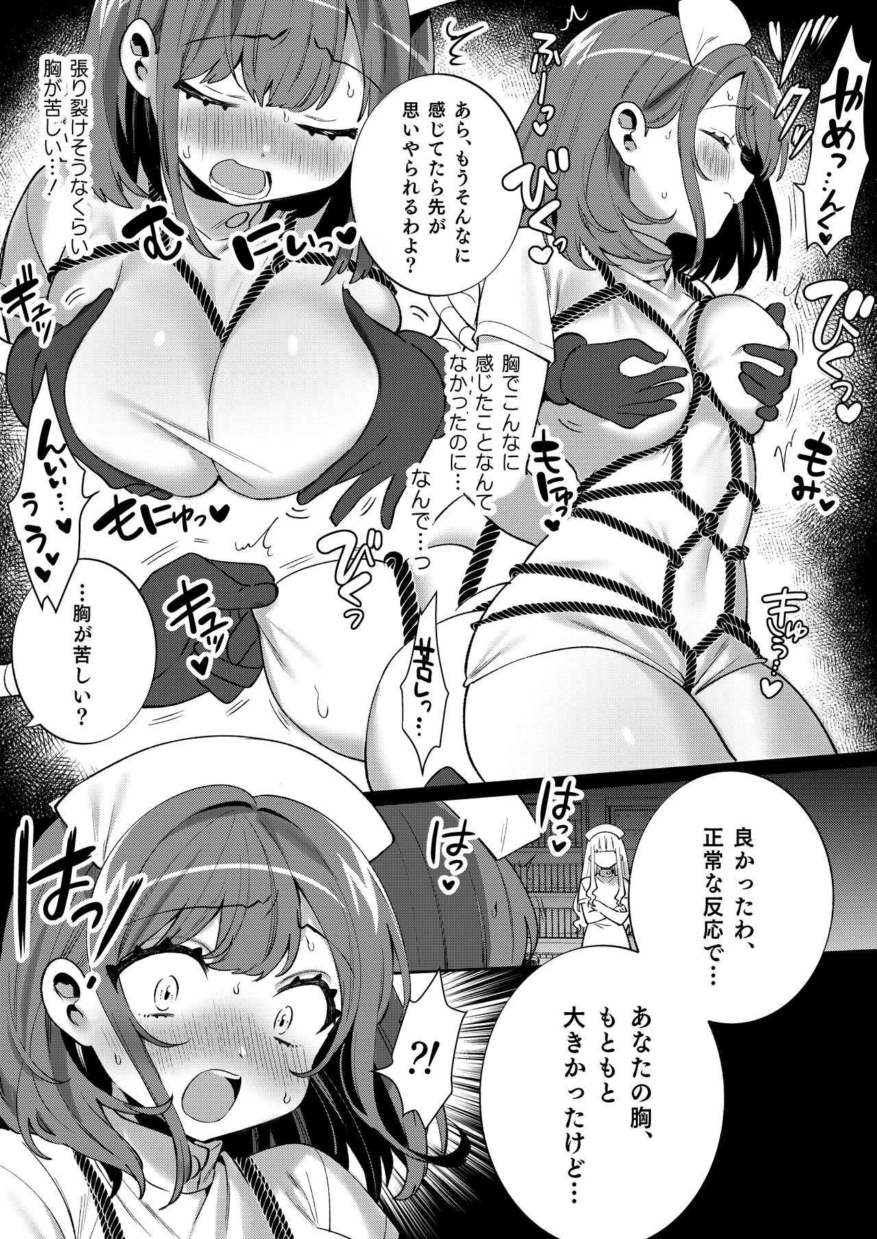 Konpou Shoujo 11 page 12 full