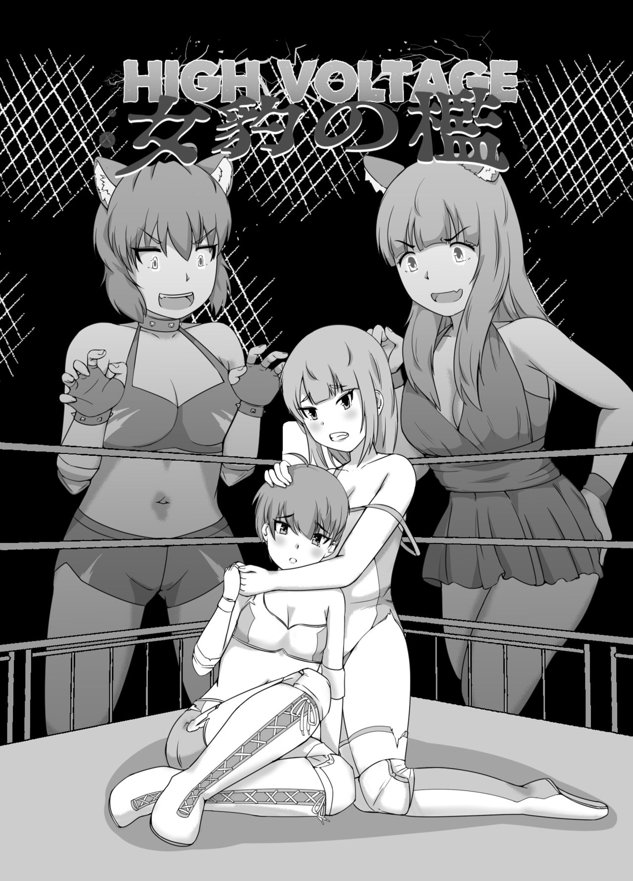 High Voltage 女豹の檻 page 2 full