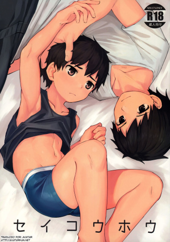 (C97) [C-O-Two- (Nayoshi)] Seikouhou [Spanish] [Avatar-kun] cover