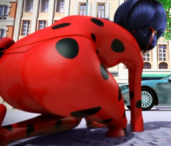 MiraCULOus Ladybug cover