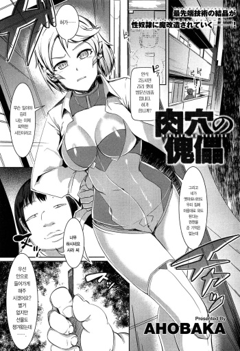 [AHOBAKA] Nikuana no Kugutsu (COMIC Anthurium 002 2013-06) [Korean] cover
