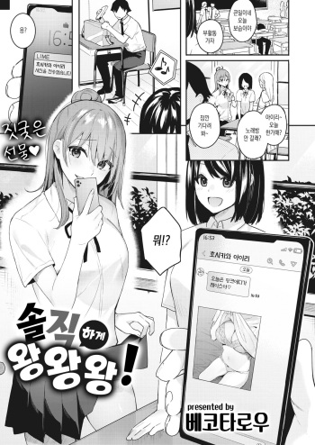 [Bekotarou] Sunao ni Wanwan! | 솔직하게 왕왕왕! (COMIC Kairakuten BEAST 2021-09) [Korean] [Digital] cover