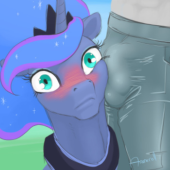 [arareroll] Packing Pouch Rub (My Little Pony) cover